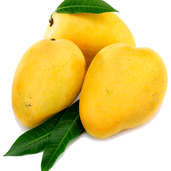 Panchani Kesar Mango